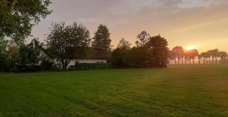 Guesthouse Rijsbergen_Zundert Esterno foto