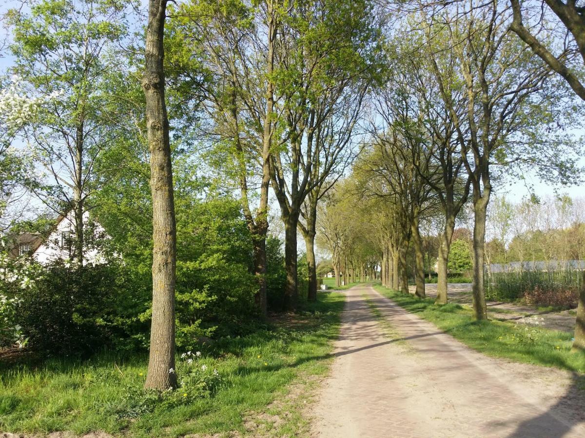 Guesthouse Rijsbergen_Zundert Esterno foto